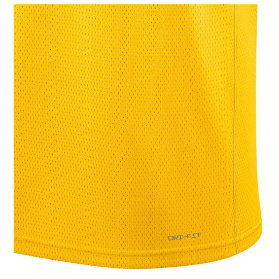 Nike Ανδρική φανέλα Los Angeles Lakes Icon Edition Dri-FIT NBA Swingman Jersey